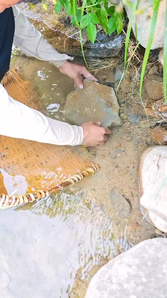 @Monsterfishkeeper