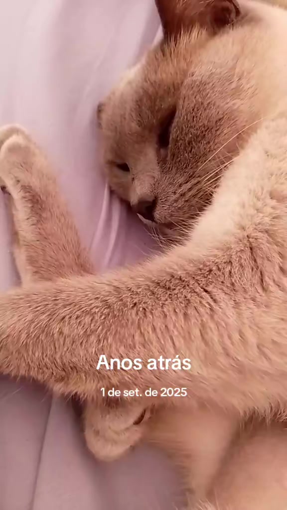 @cissarossato🍒😻