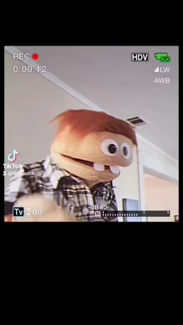 @LIL MAJESTIK