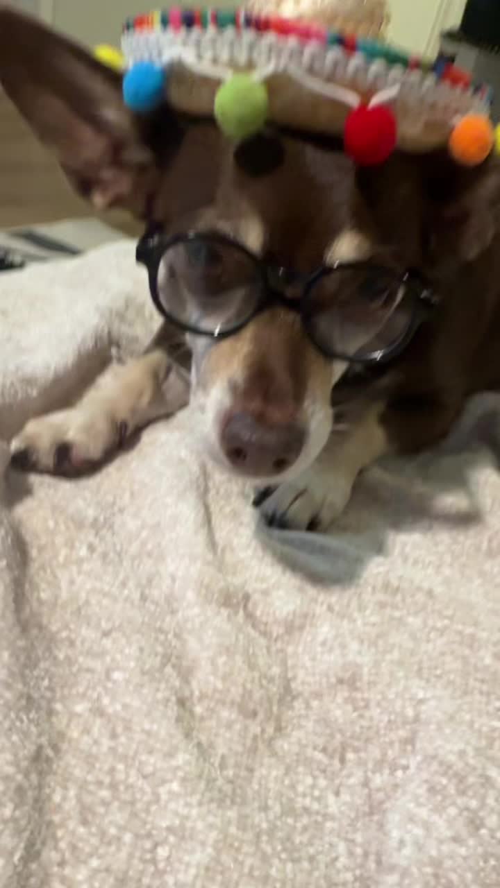 @Bruno28