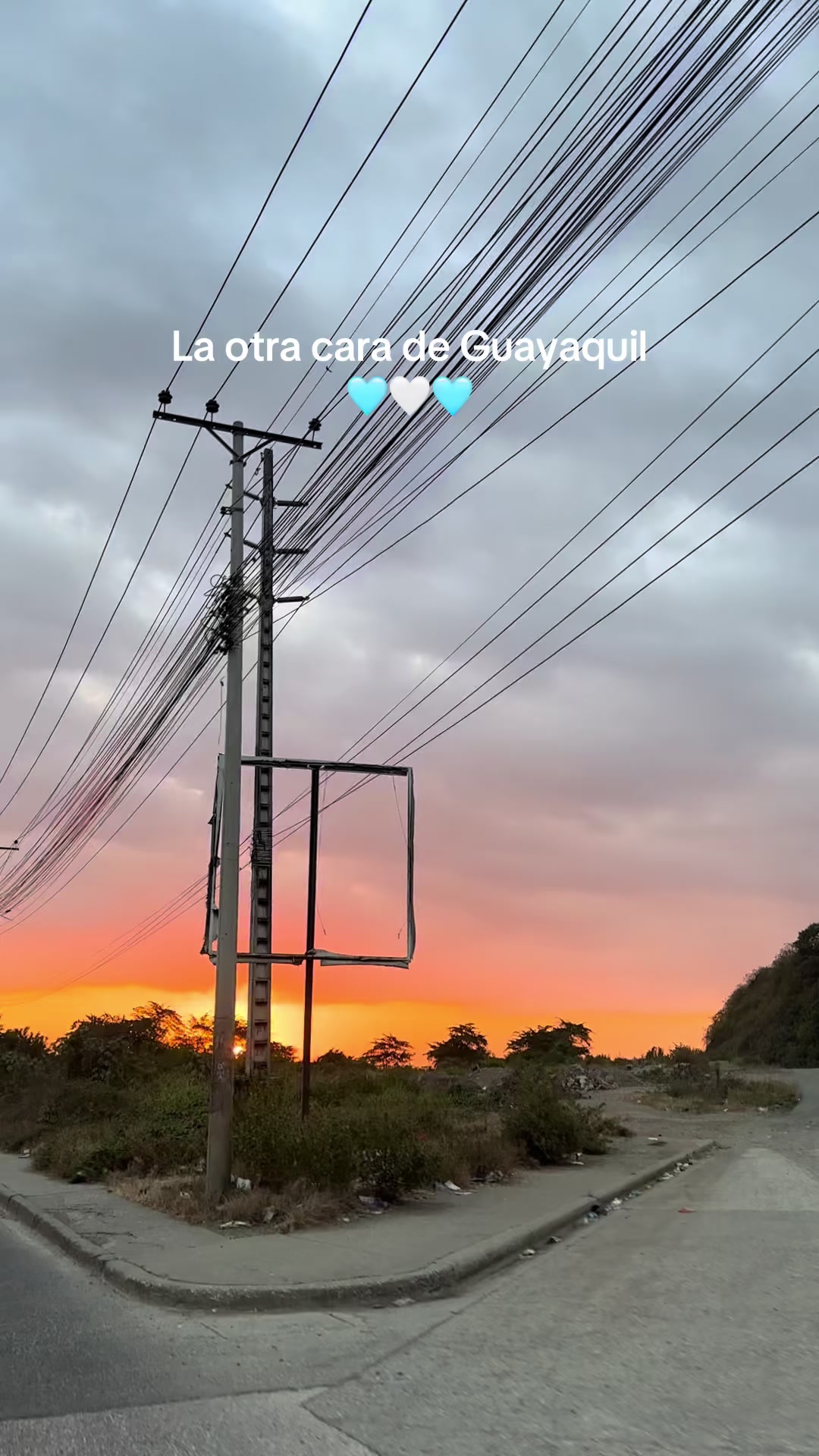 @cali_cali97