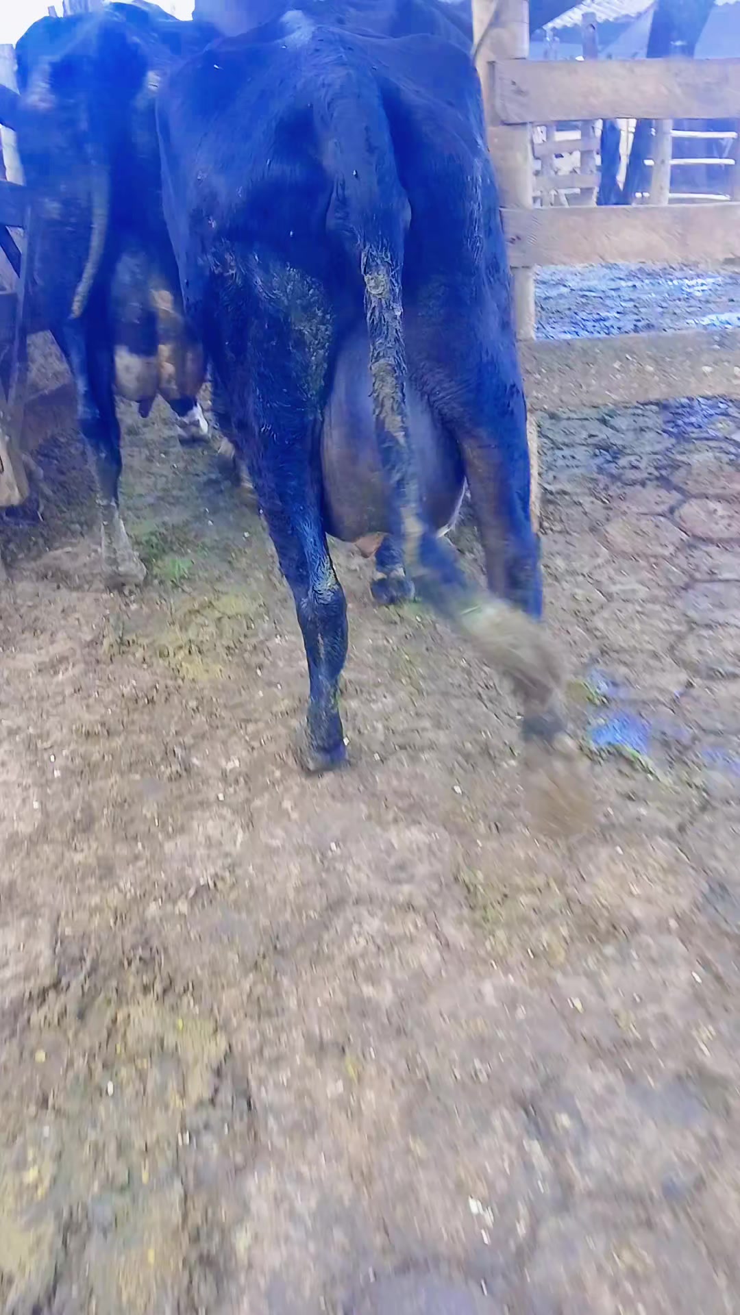 @Fazenda Santa Rosa