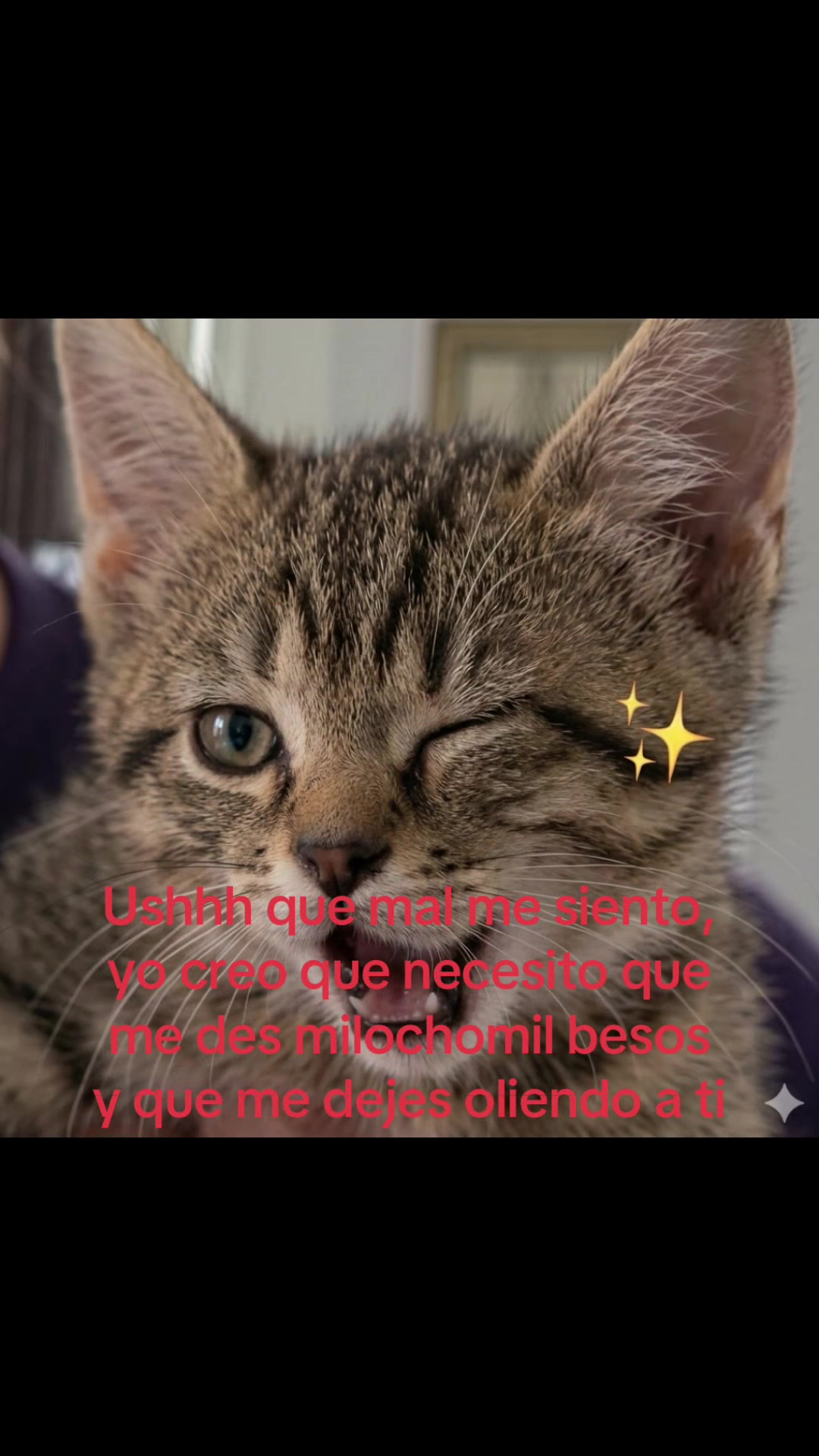 @saulburgosp2.0
