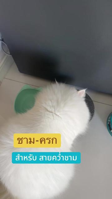 @KaewGrandma