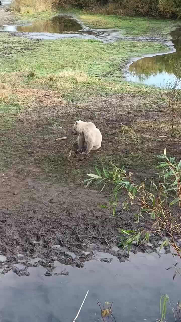 @Не повторять !!!