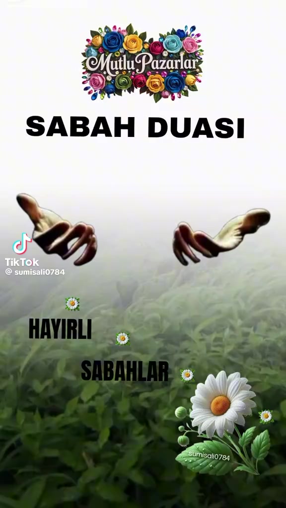 @L A &Ccedil; I N  041