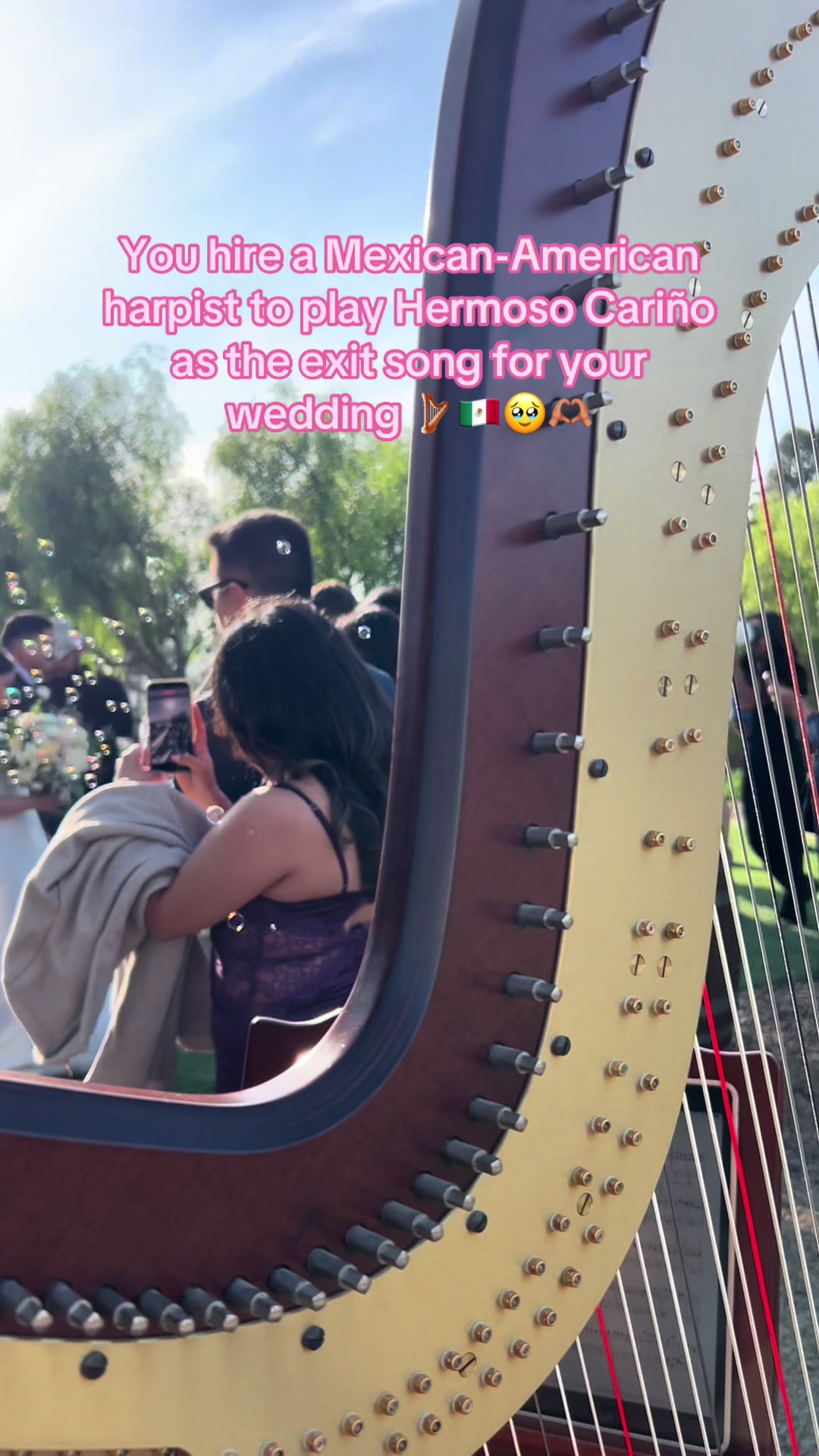 @betaniarodriguezharp