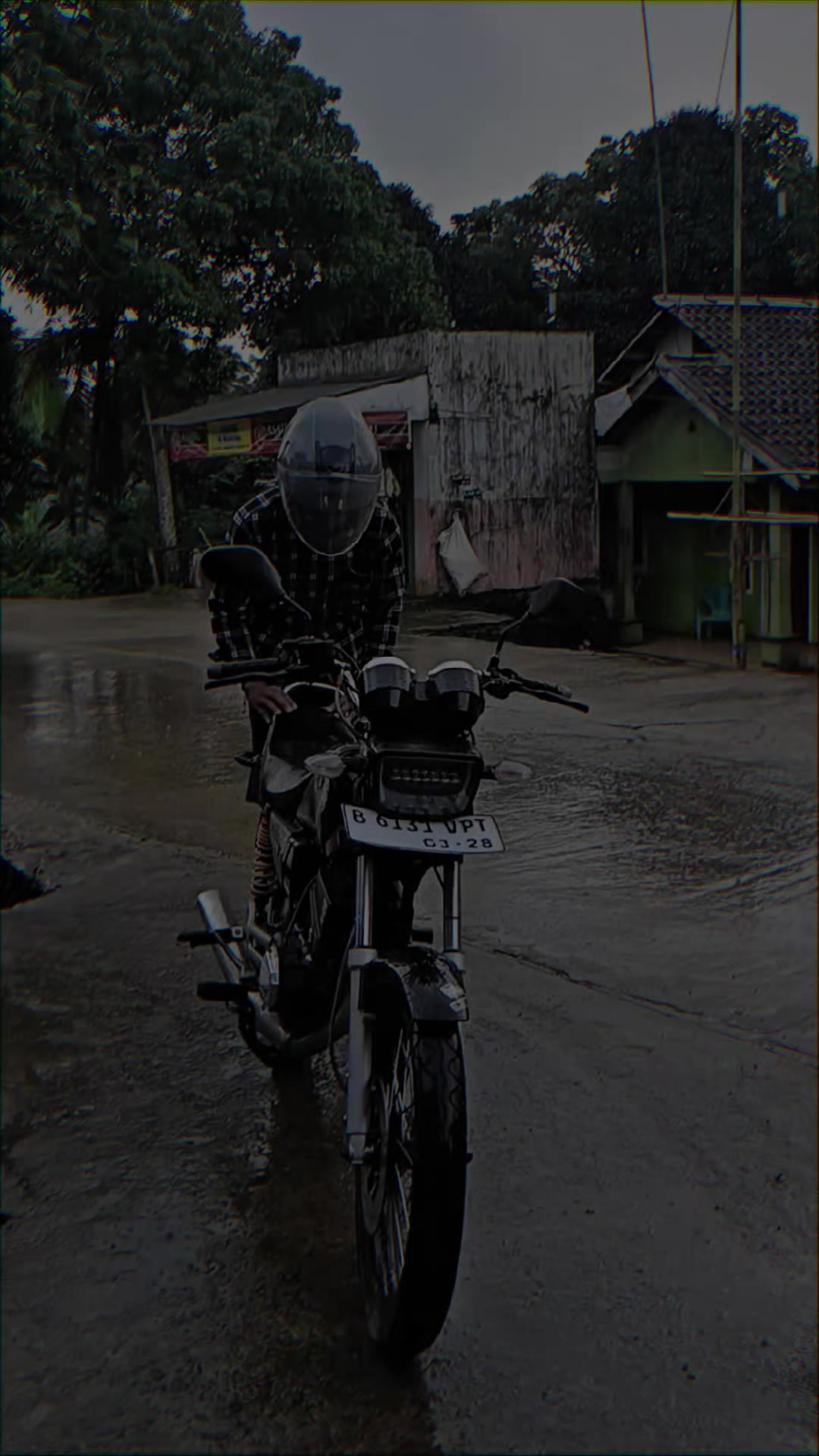 @dede basil 6
