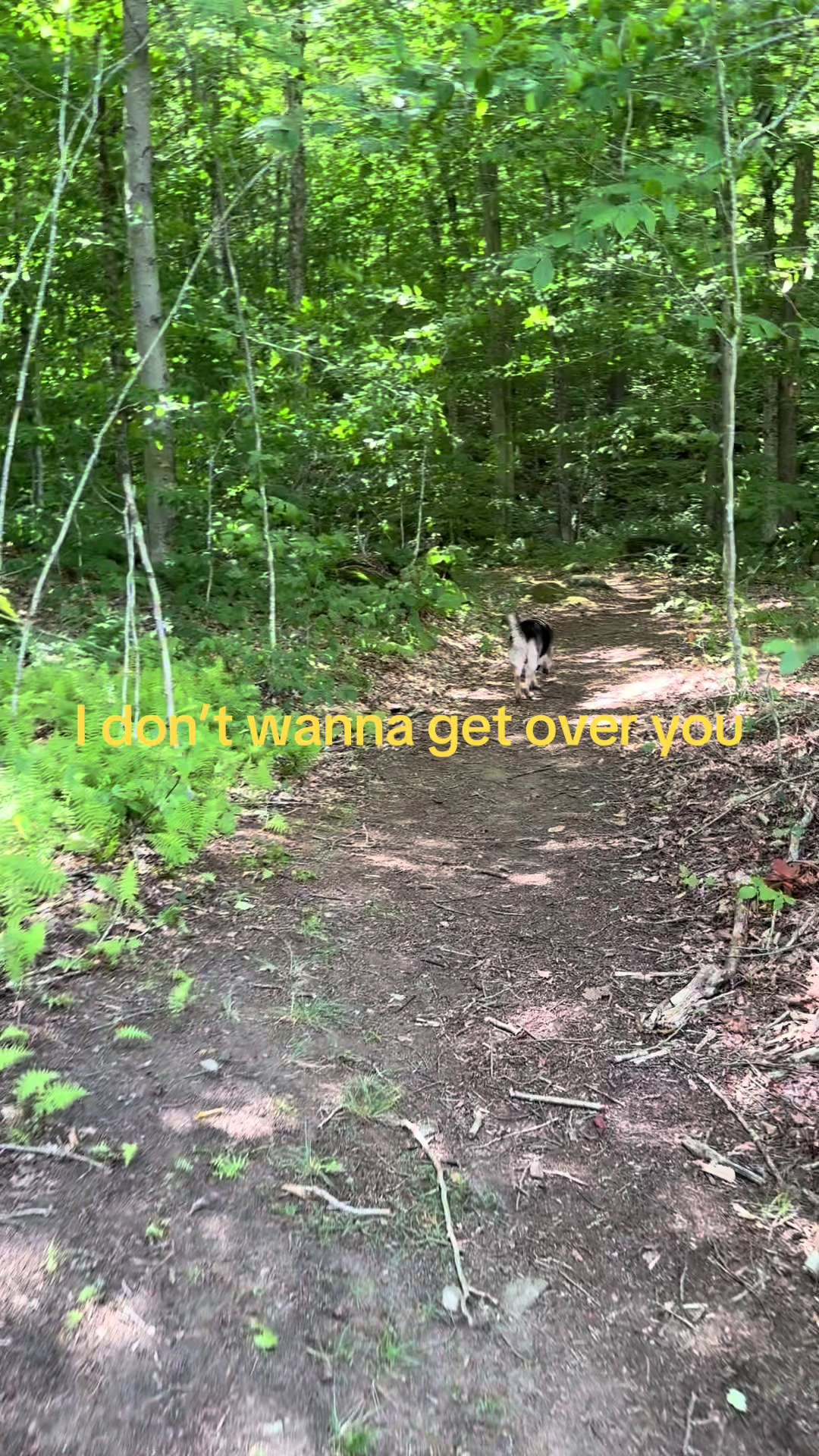 @Will