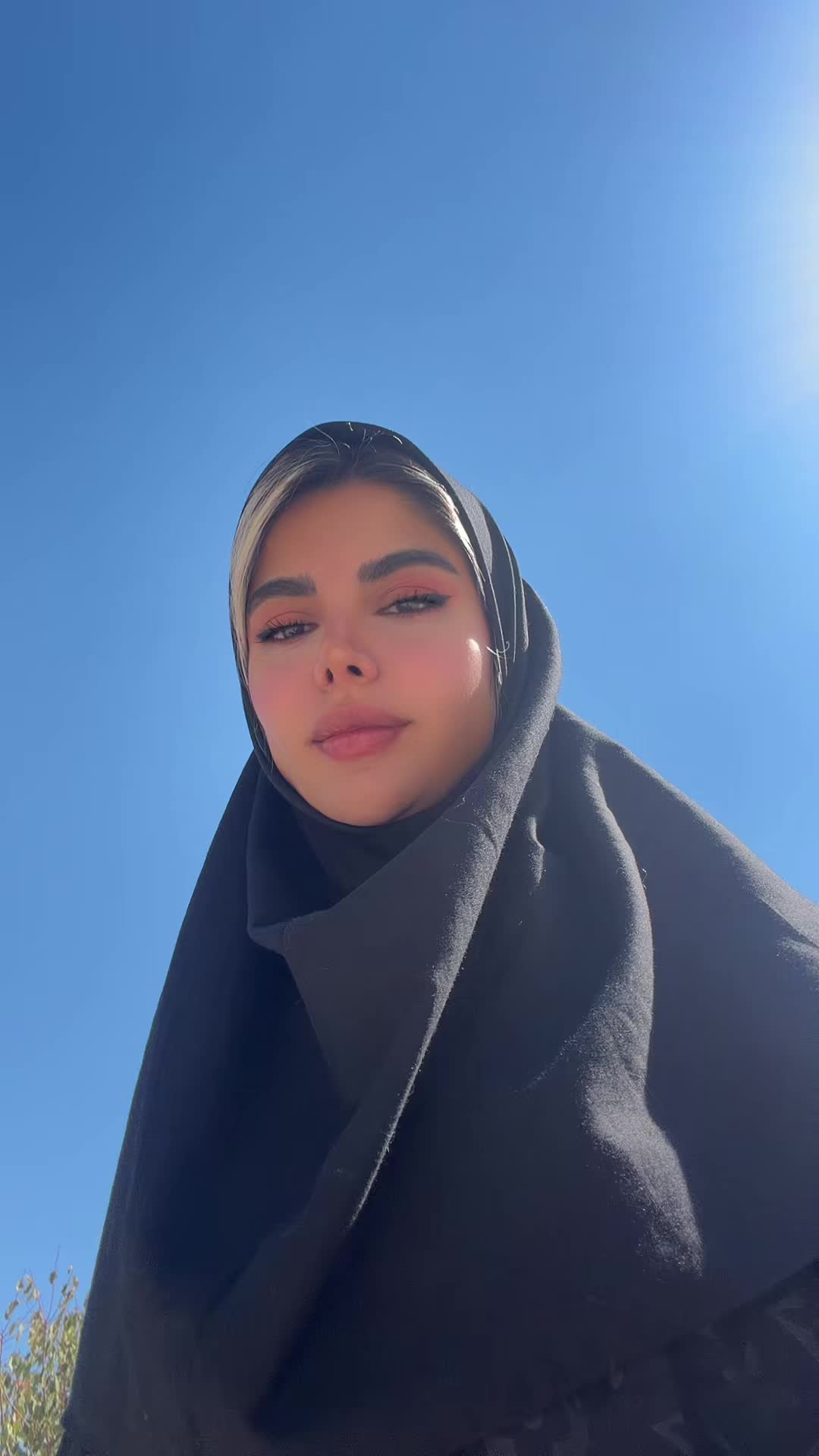 @Niloofar