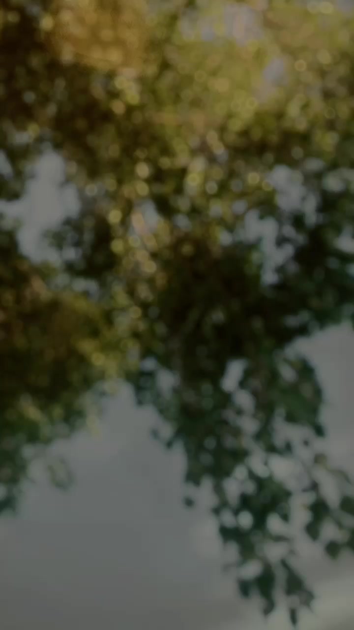 @REHANU.🍁