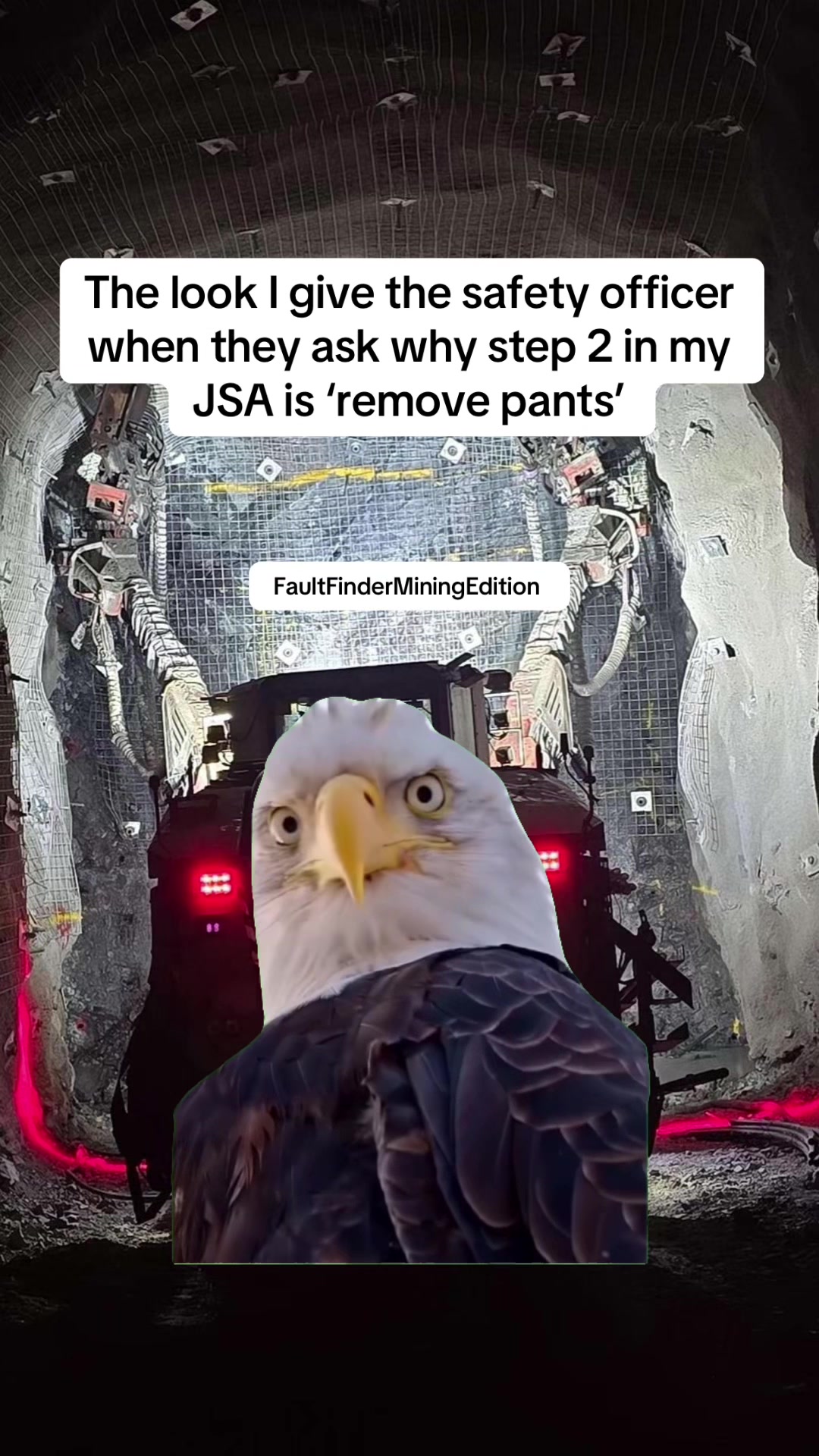 @faultfinder