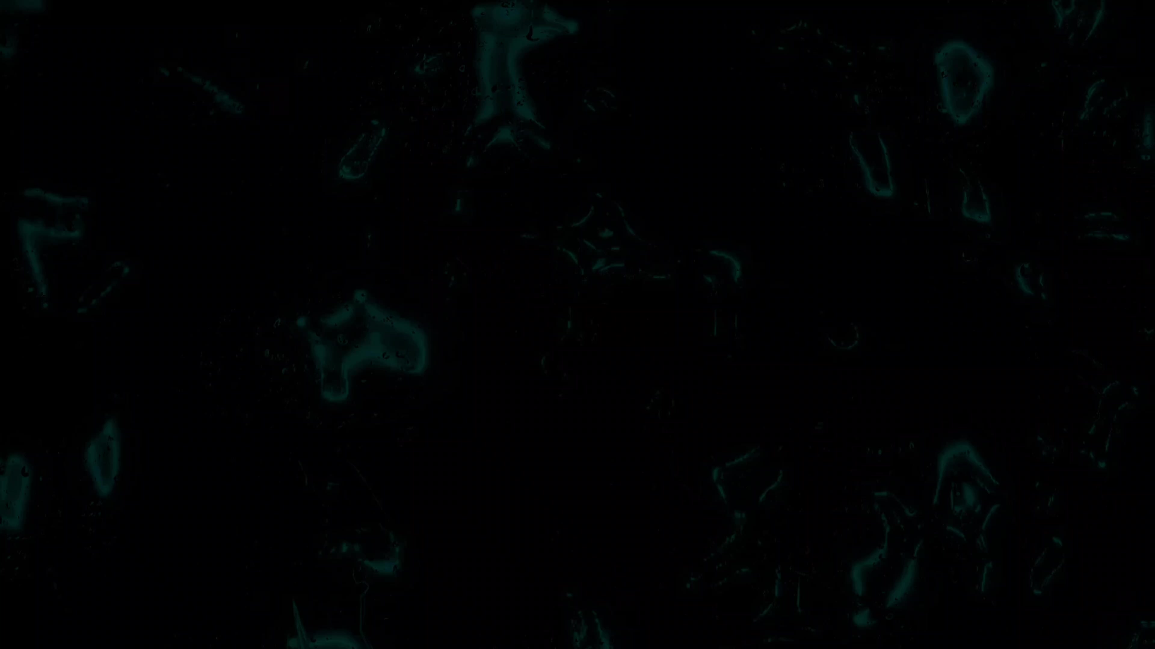 @𝐎𝐧𝐥𝐲𝐒𝐨𝐧𝐠𝐬