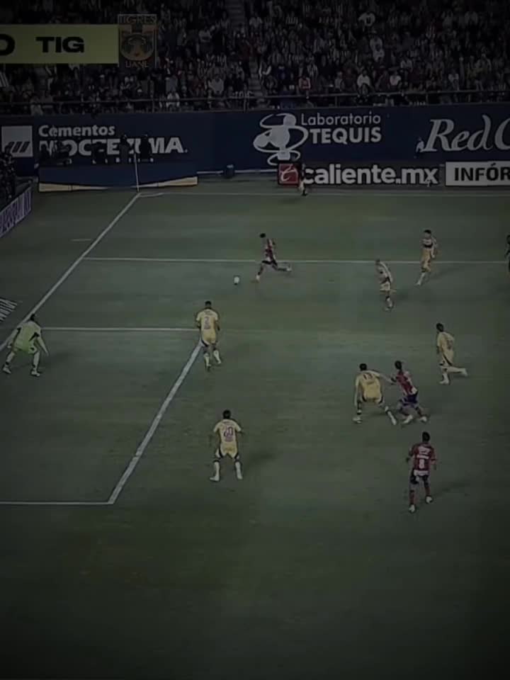 @𝗧𝗜𝗚𝗥𝗘.𝗠𝗧𝗭