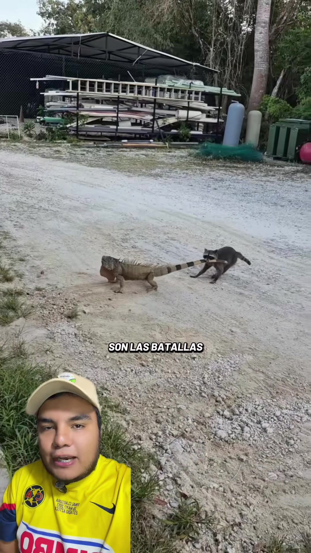 @Jair Herrera 🐆