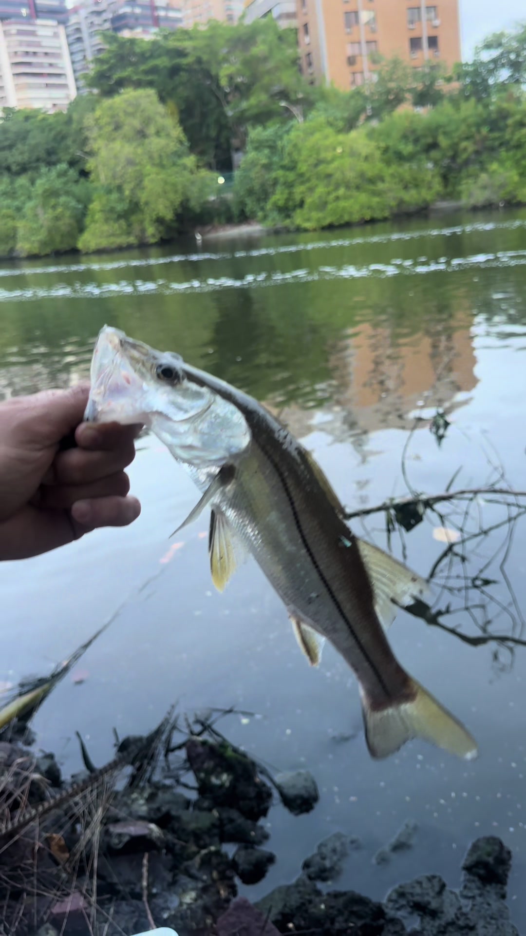 @Bideu Fishing