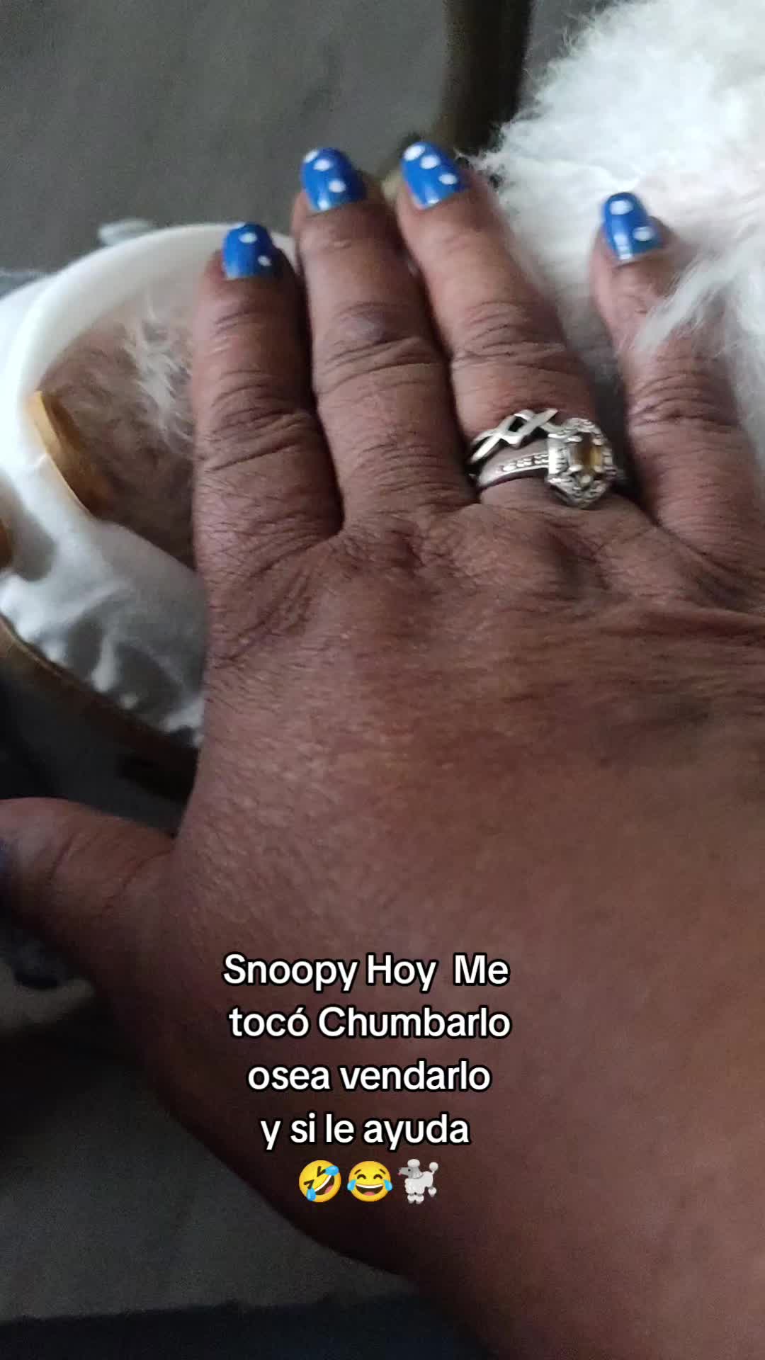 @Snoopy Mundo 123🇨🇴 🐢