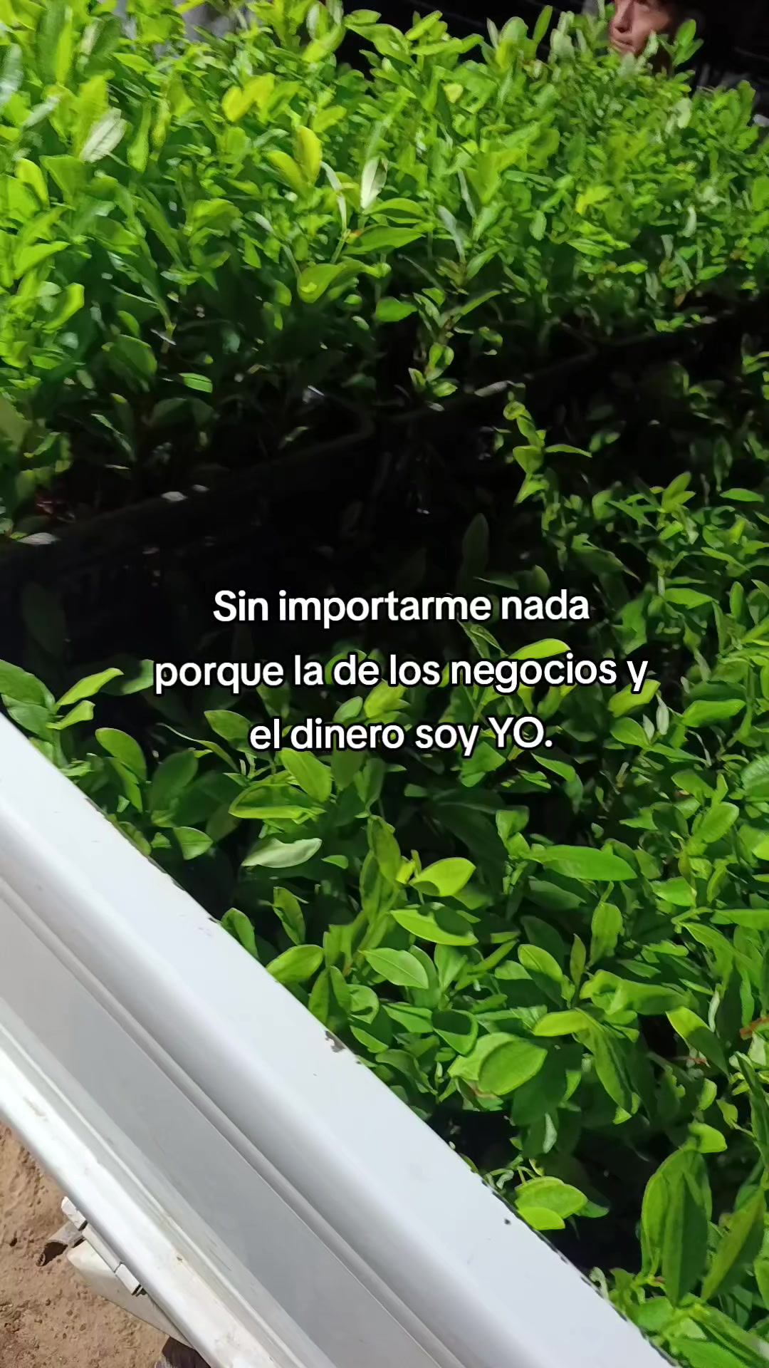 @Luz