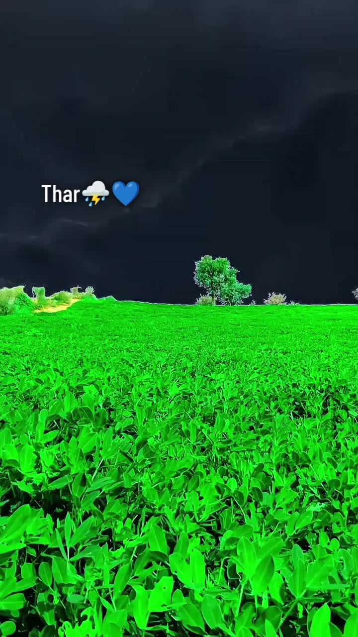 @๐ฅSindhi๐ญ