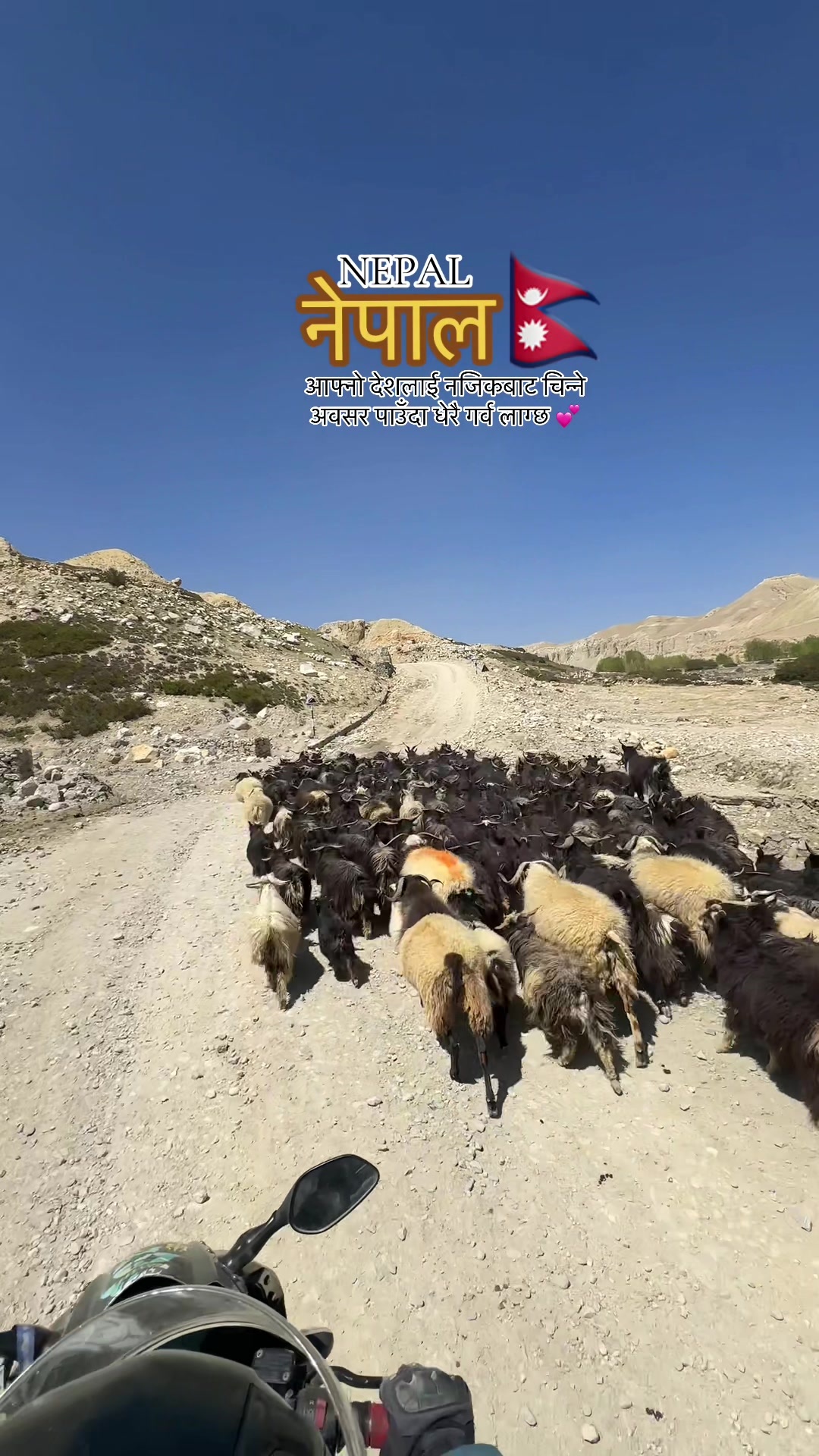 @Aashik Sapkota
