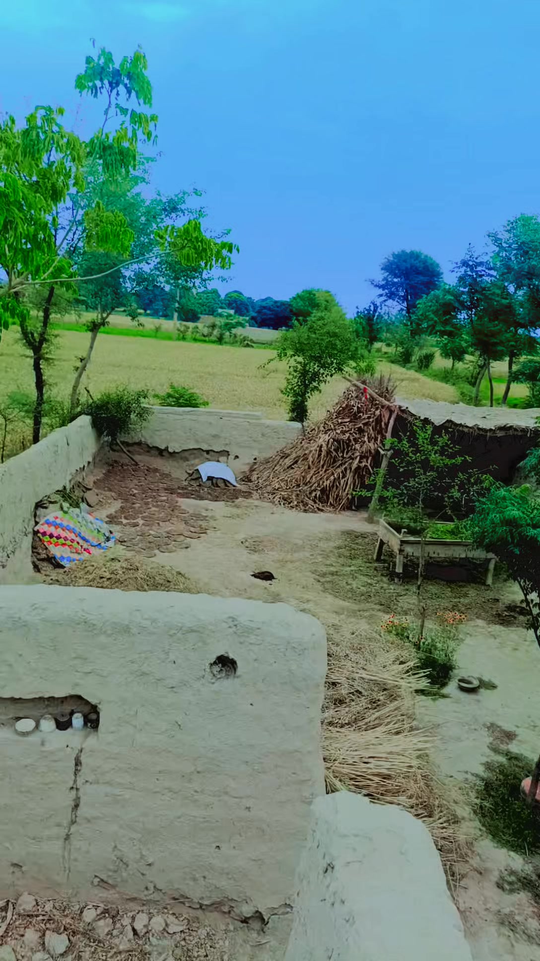 @Ladla Baloch