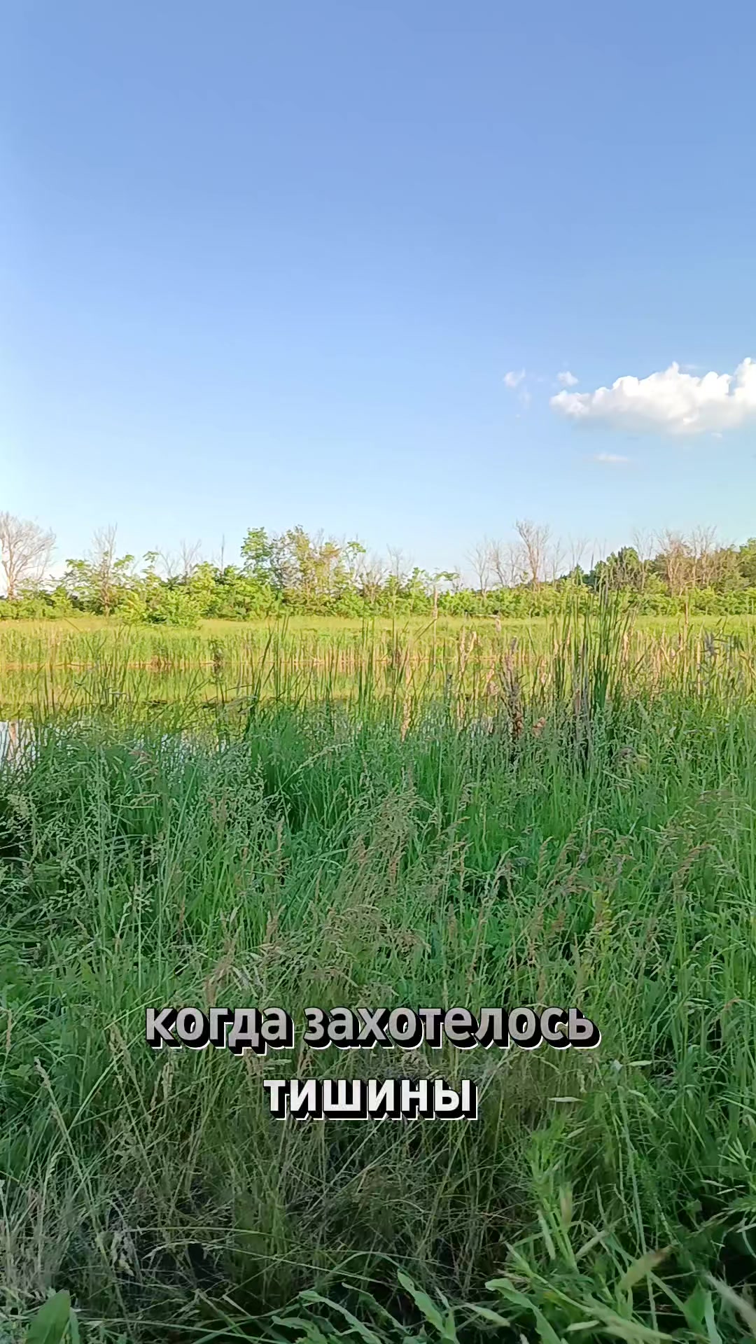 @"Пятёрочка дружная семья"