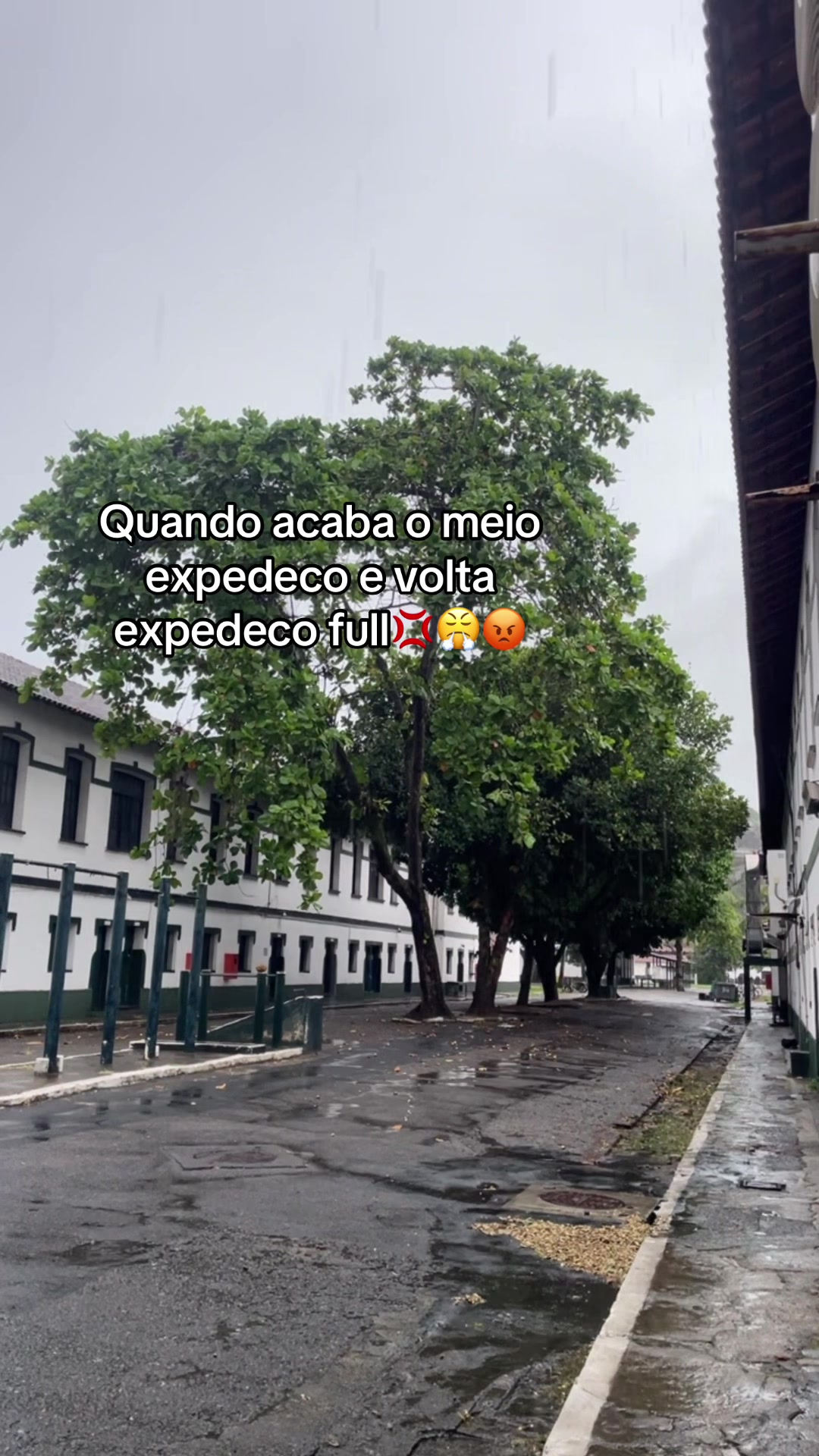 @Revdykkk
