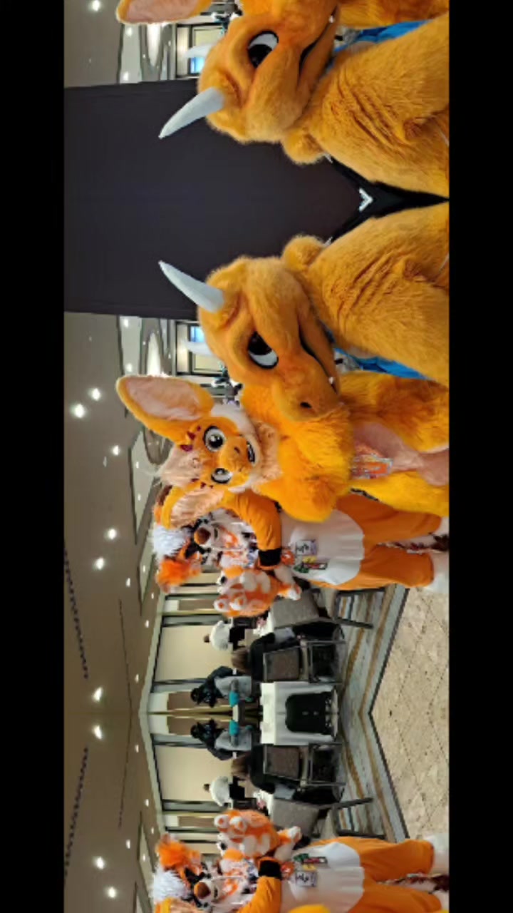 @Chaosfox