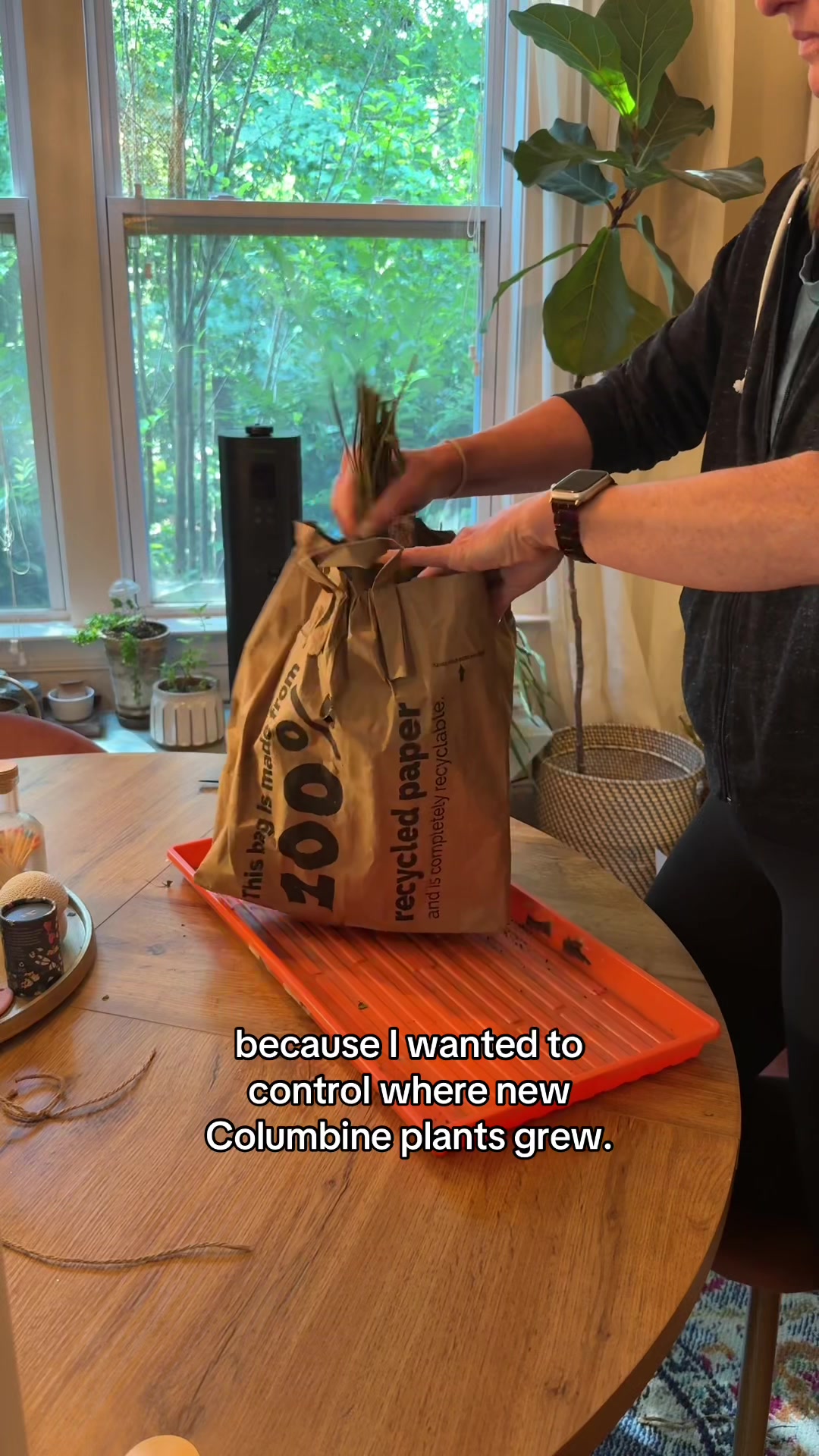 @The Ever Hopeful Gardener