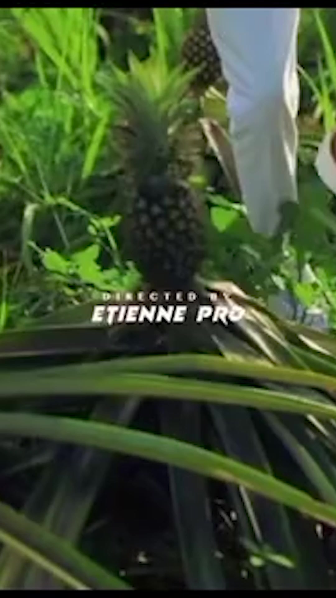 @S&eacute;nateur Paulo Tudilu