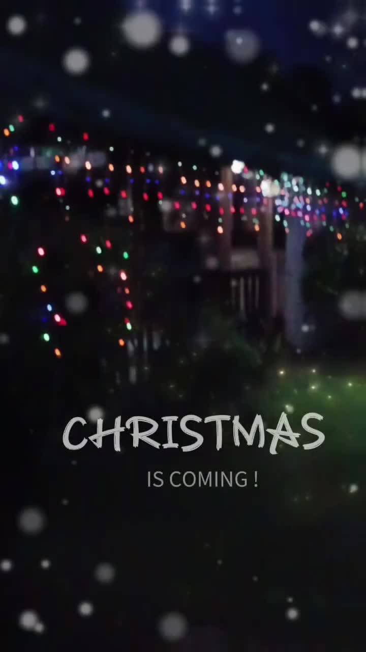 @lizadgreat10
