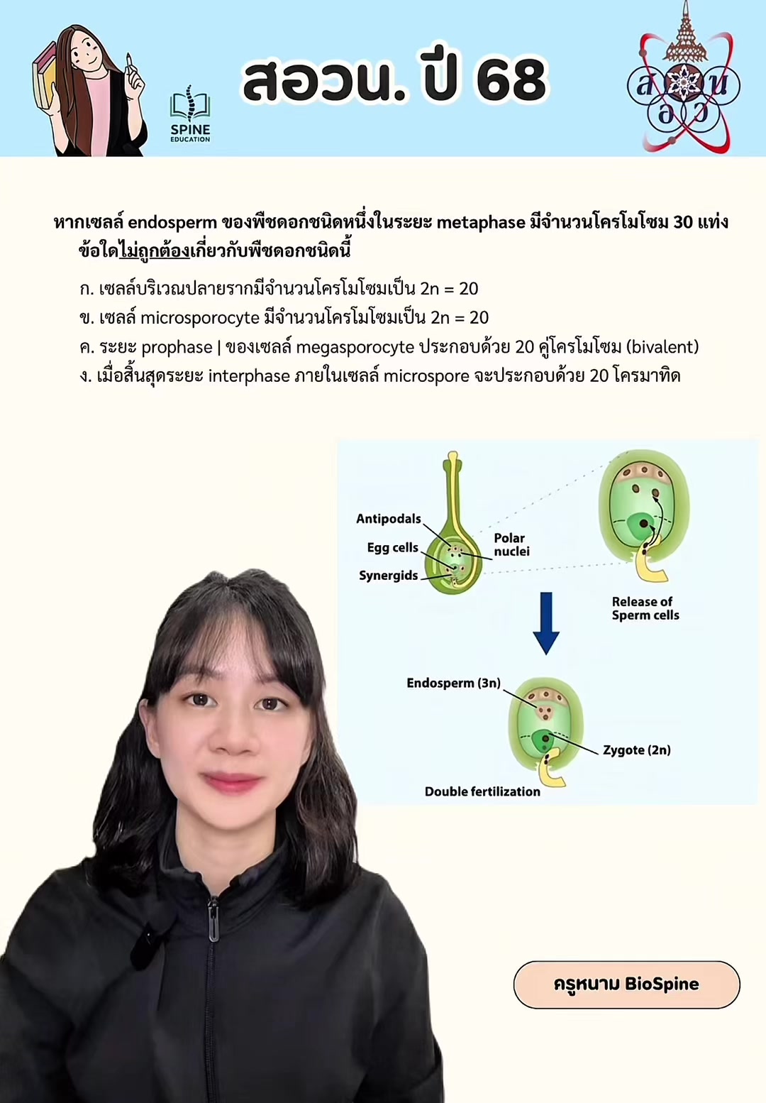 @Biospine by ครูหนาม
