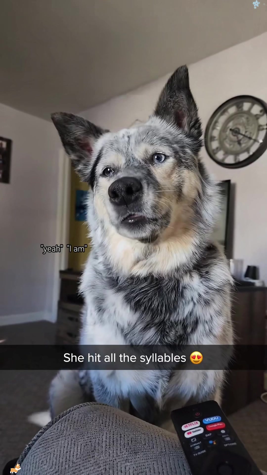 @Miao33