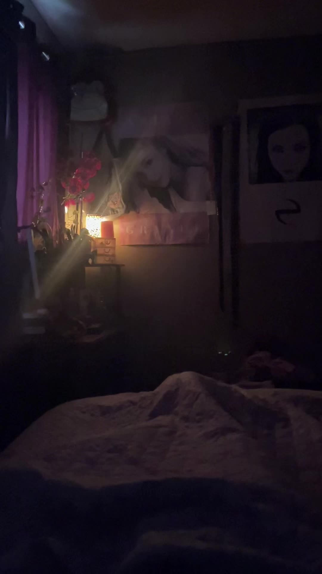 @miee🌙🌸✨