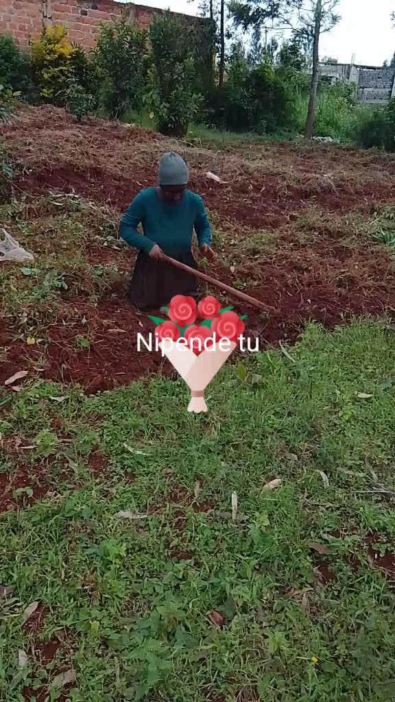 @user28016178498454