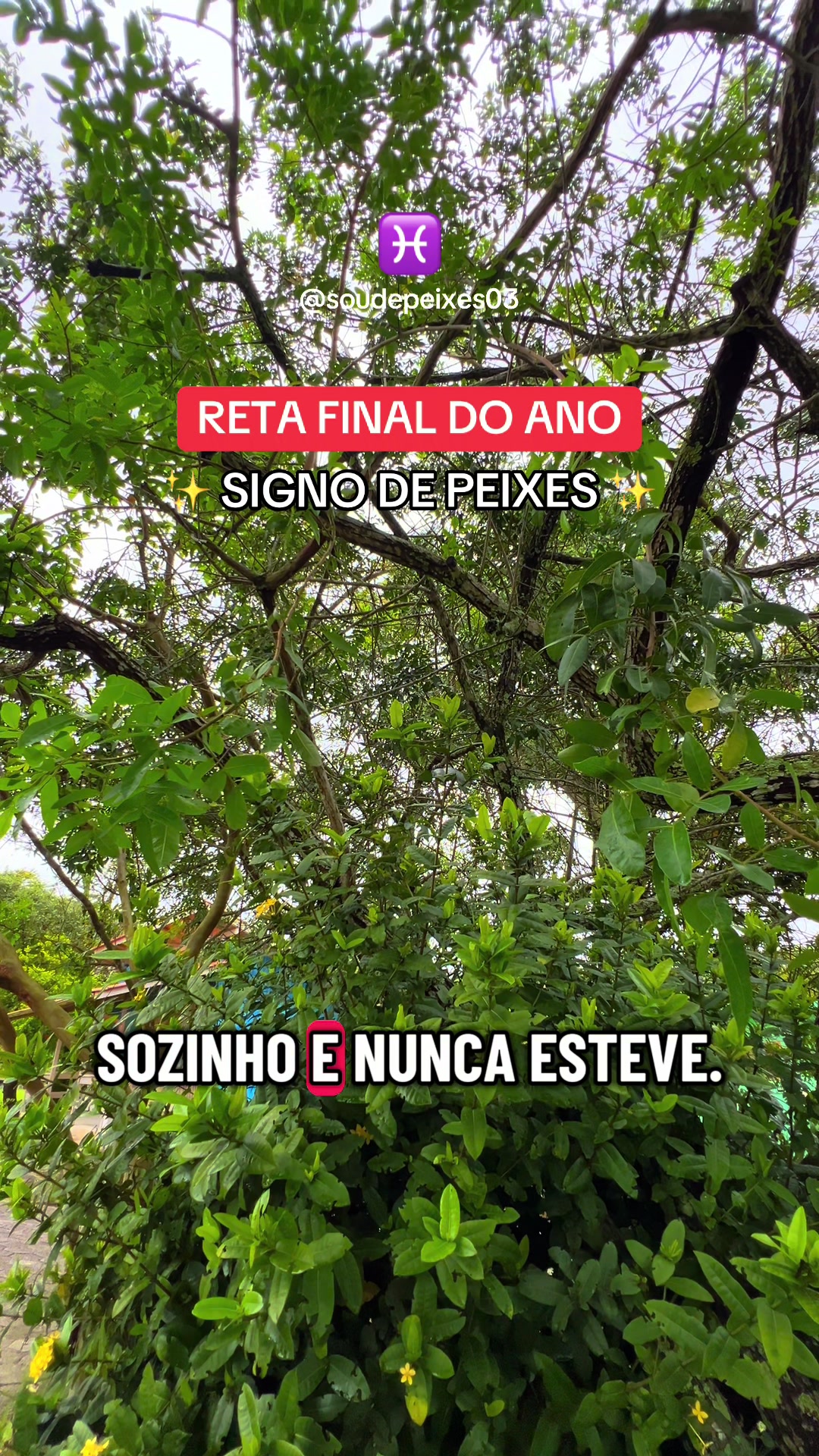 @soudepeixes