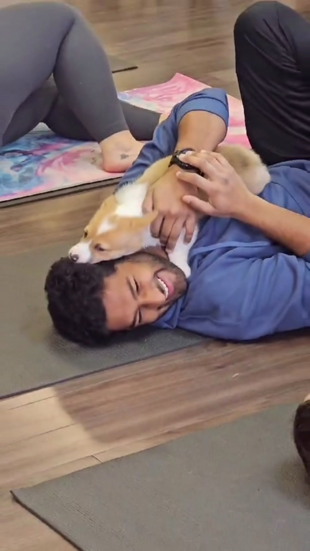 @Muskoka Puppy Yoga