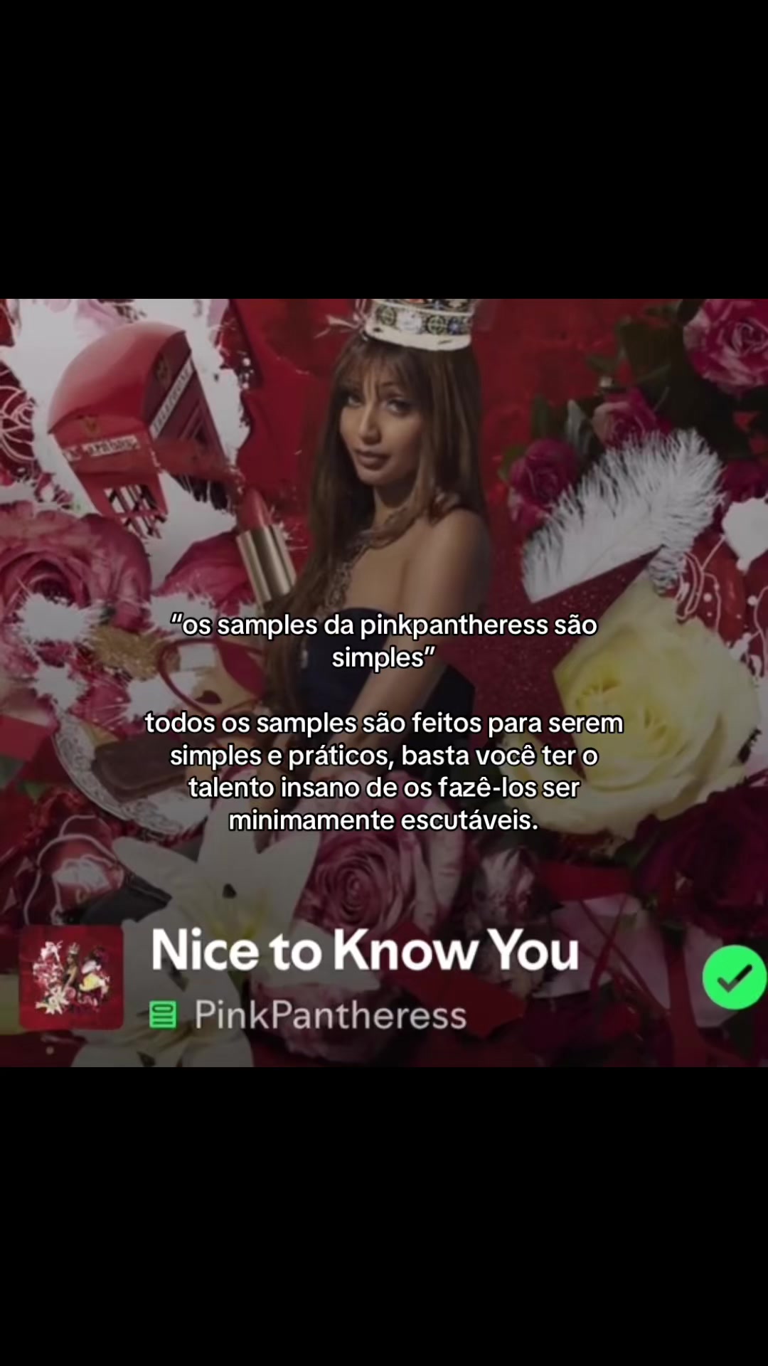 @pinkfantheressbrasil🇧🇷