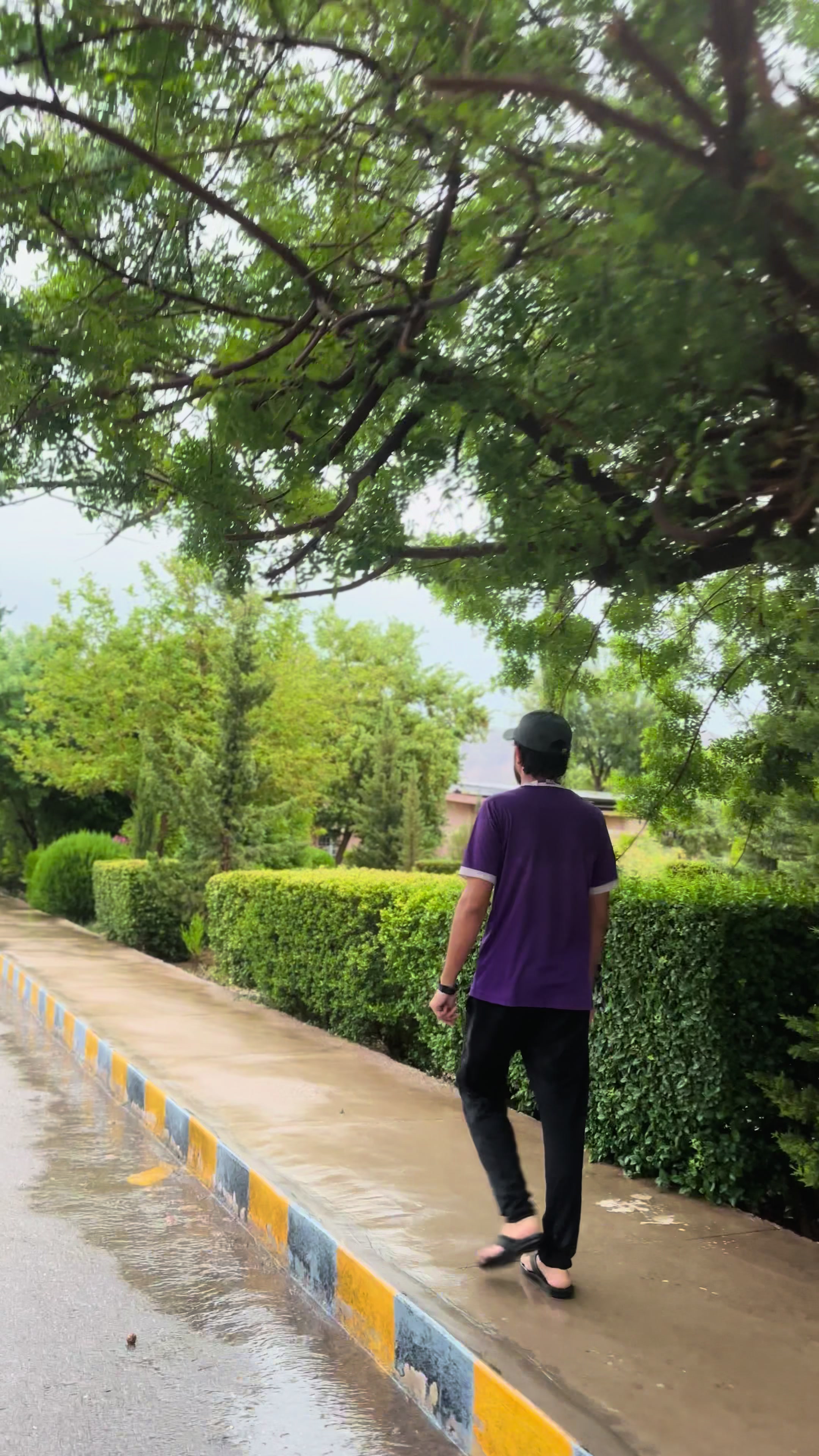 @میروانی مہران ♥️✌️