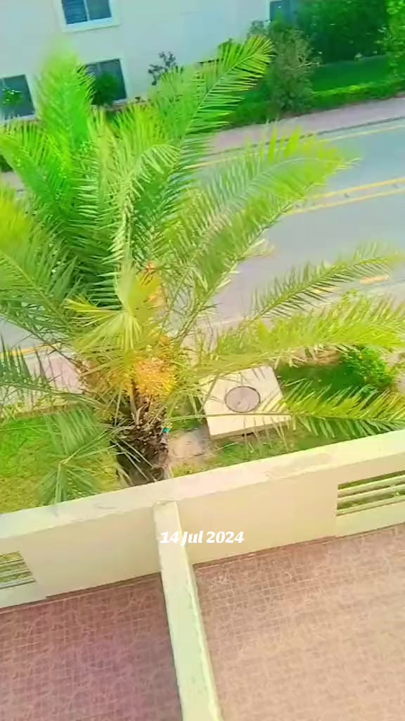 @🥷☠️Kashif🔥 باغی☠️333😈🥷