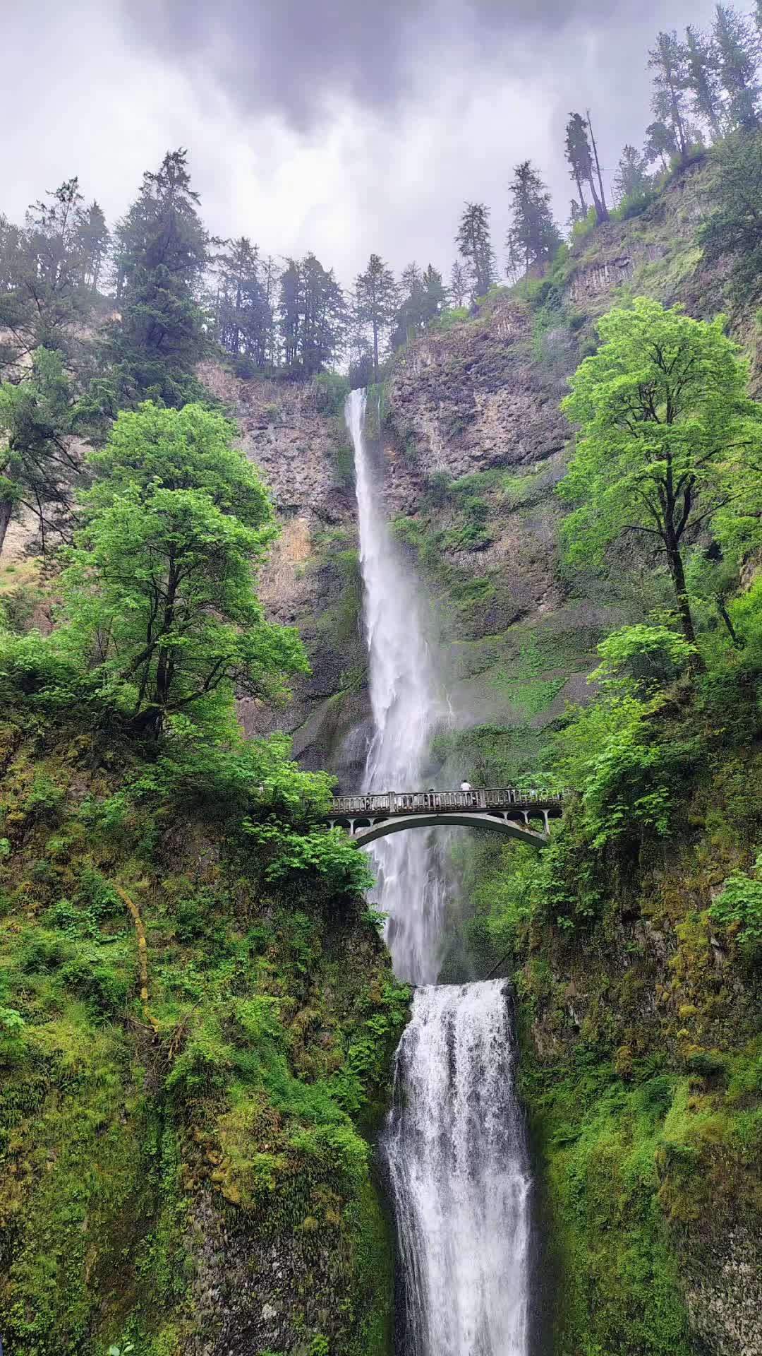 @Idaho Adventurer