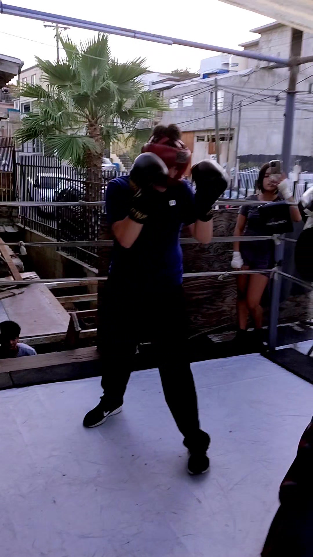 @palas boxing