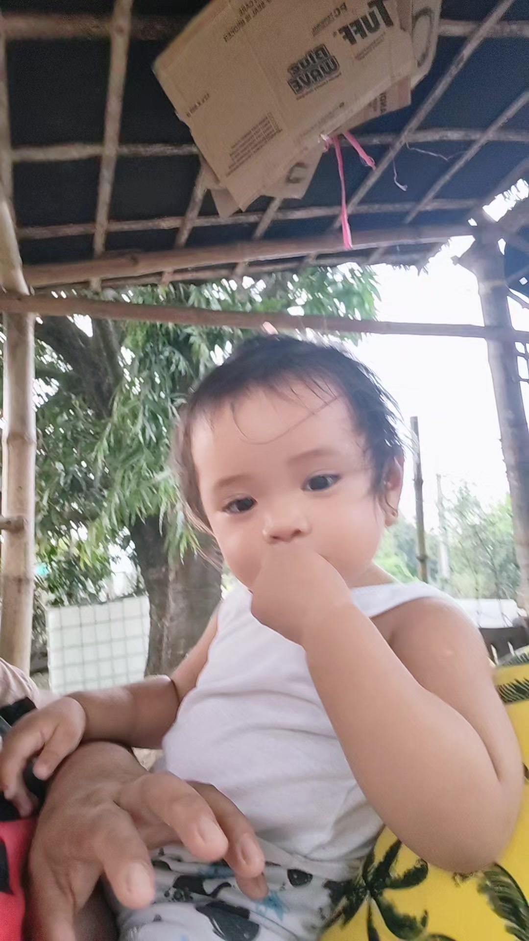 @marygracevergara091488
