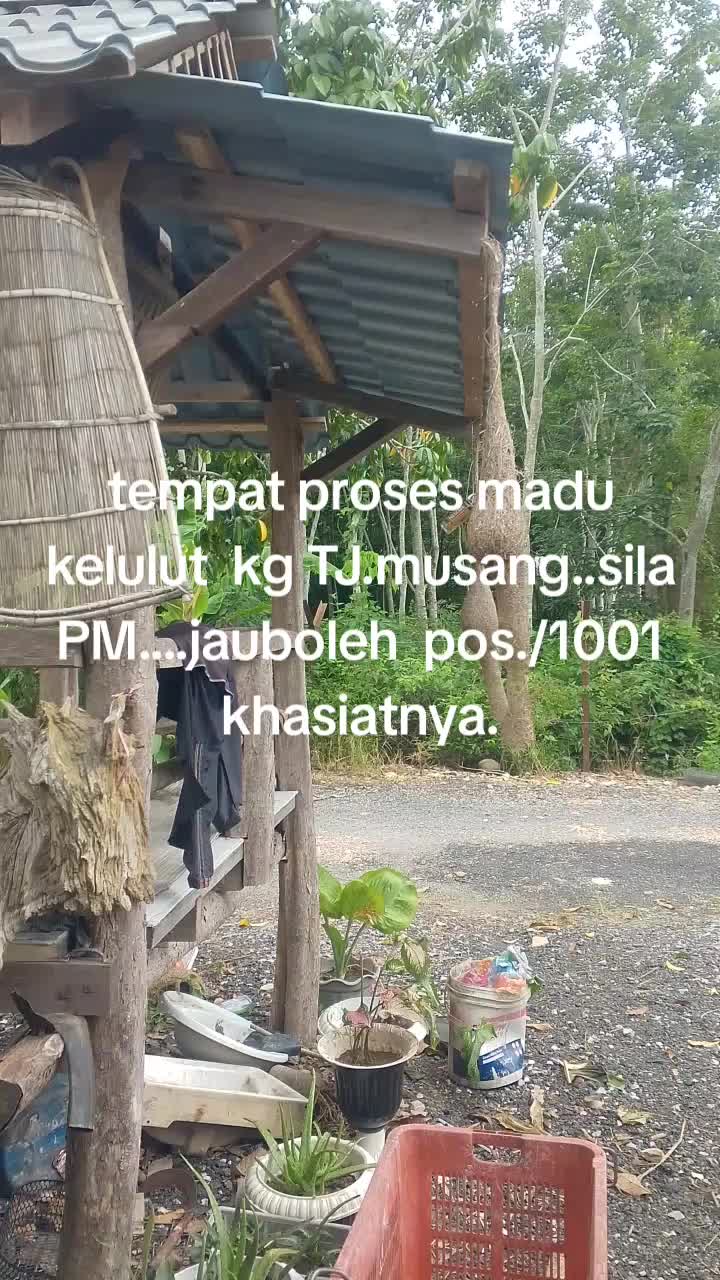 @Wan nasruy