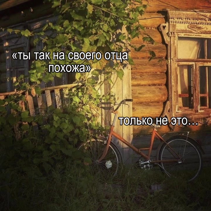 @lily