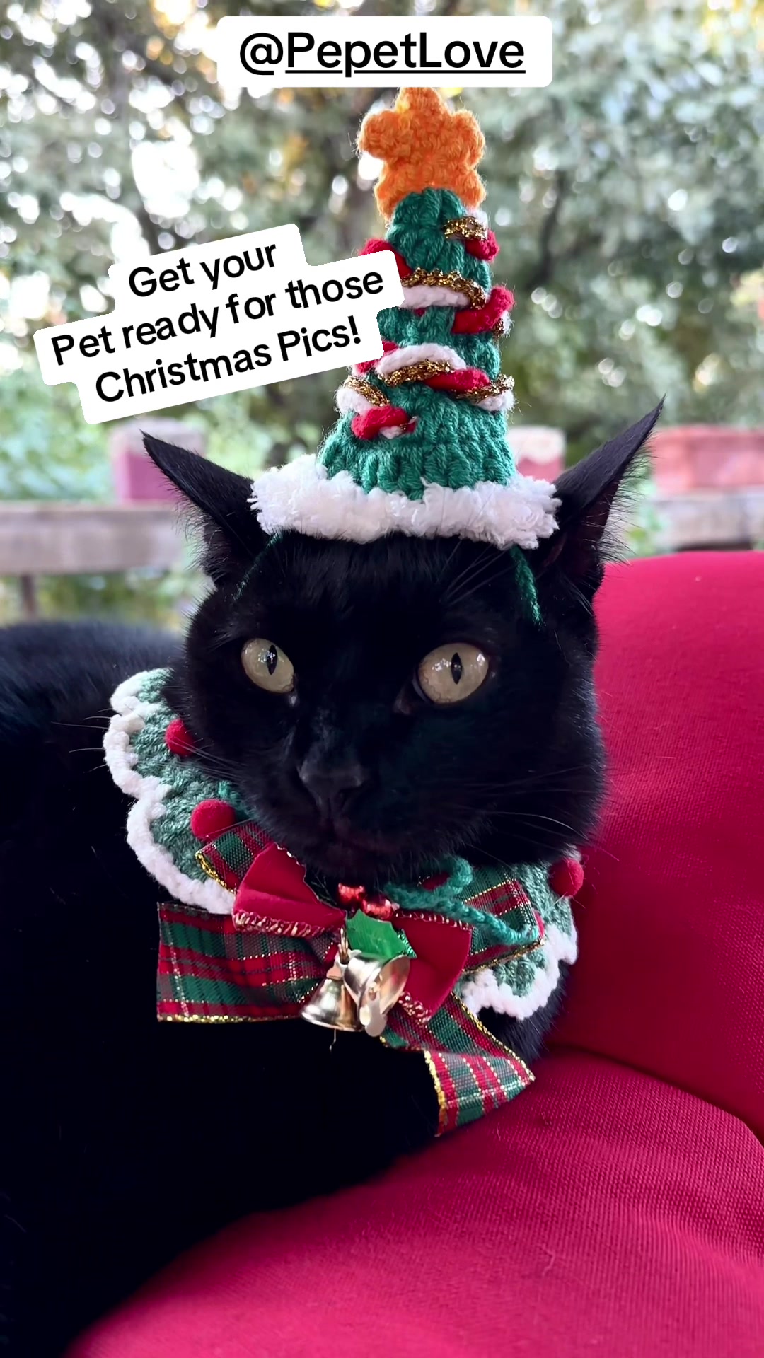 @Melanie Rene' Designs ❌