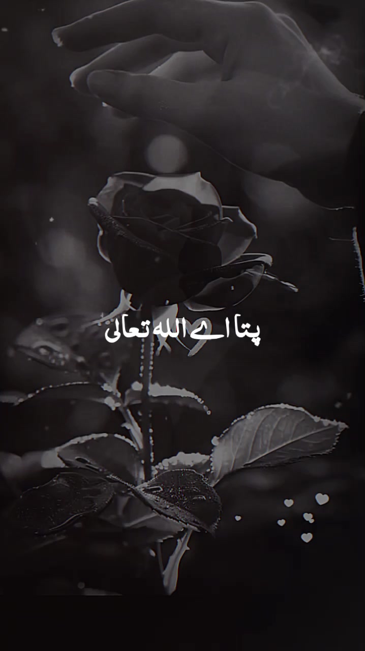 @Noor