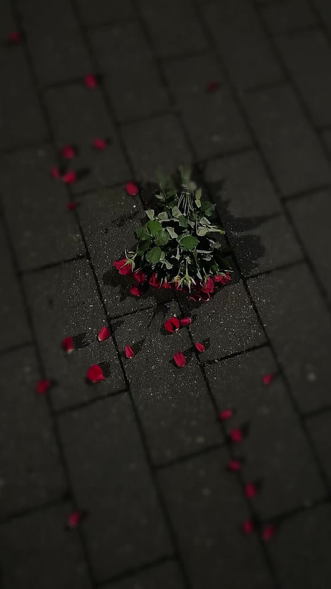 @🫧