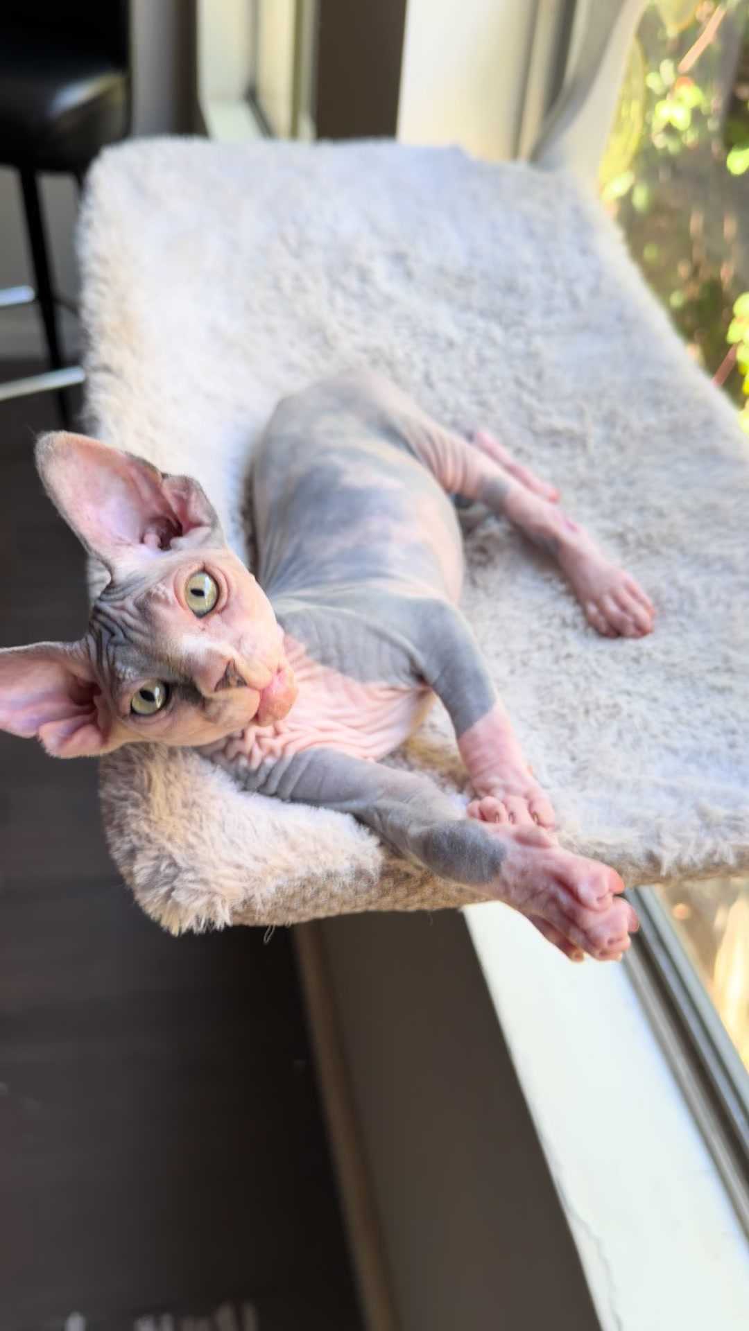 @BabyLuis ❤️🔥