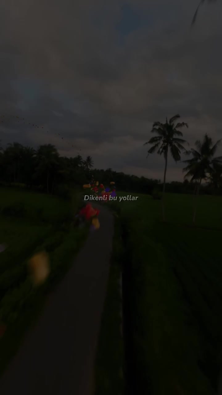 @𝙫𝙞𝙥 𝙡𝙮𝙧𝙞𝙘𝙨